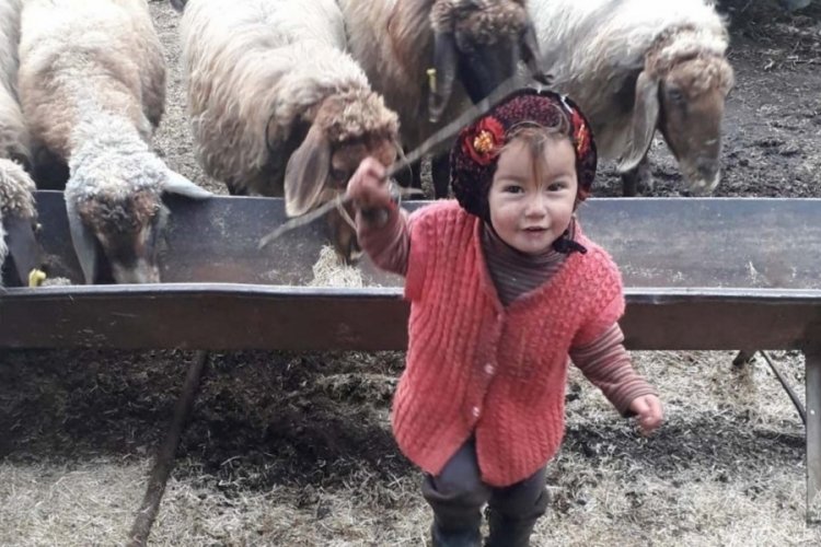 M&uuml;sl&uuml;me Yağal cinayetinde şoke eden gelişme! 'Şikayet&ccedil;i değilim...'