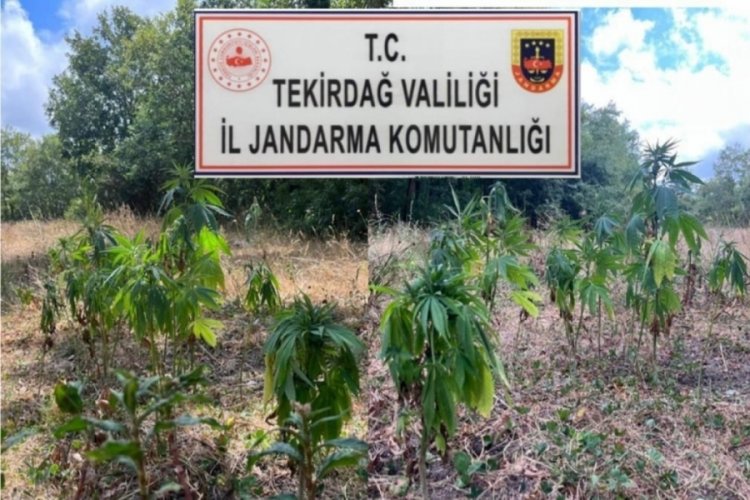 Uyuşturucu operasyonunda 1'i G&uuml;rcistan uyruklu 4 kişi tutuklandı