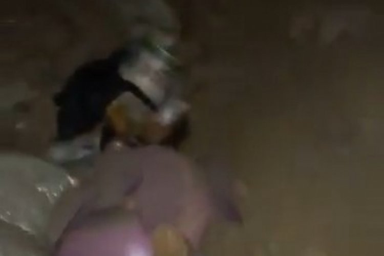 Ter&ouml;r &ouml;rg&uuml;t&uuml;ne ait sığınakta &ccedil;ok sayıda malzeme ele ge&ccedil;irildi