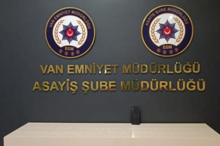 Van'da &ccedil;eşitli su&ccedil;lardan 19 kişi tutuklandı