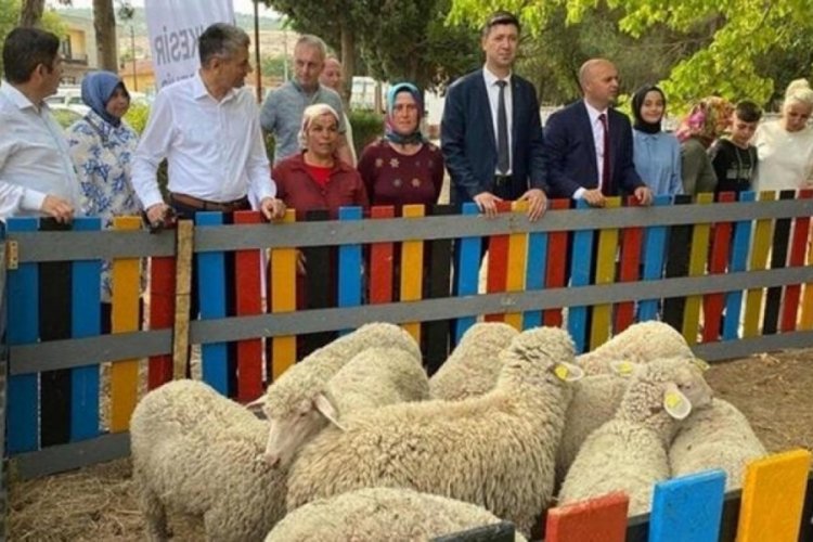 5 ton atık toplayarak 10 kuzu kazandılar