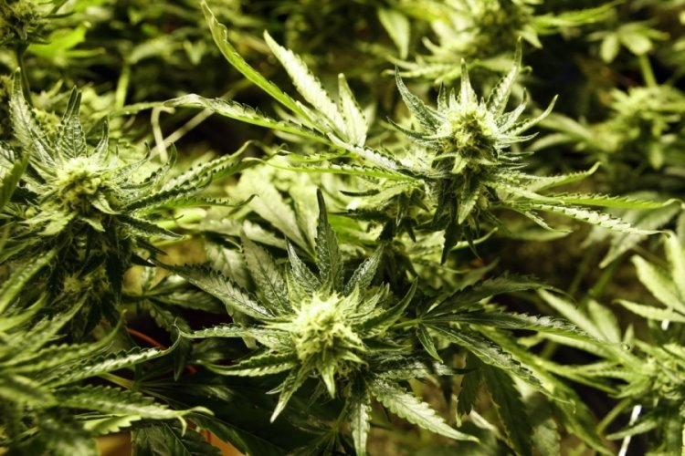 Kahramanmaraş'ta 117 kilo uyuşturucu madde ele ge&ccedil;irildi