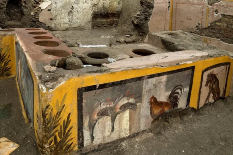 Pompei kazılarında sınıf farkı g&ouml;zler &ouml;n&uuml;ne serildi