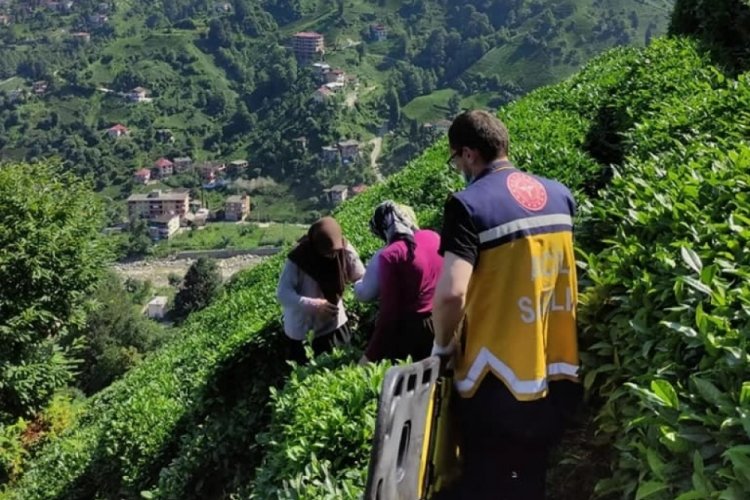 Yama&ccedil;taki &ccedil;ay bah&ccedil;esinden yuvarlanan şahıs yaralandı