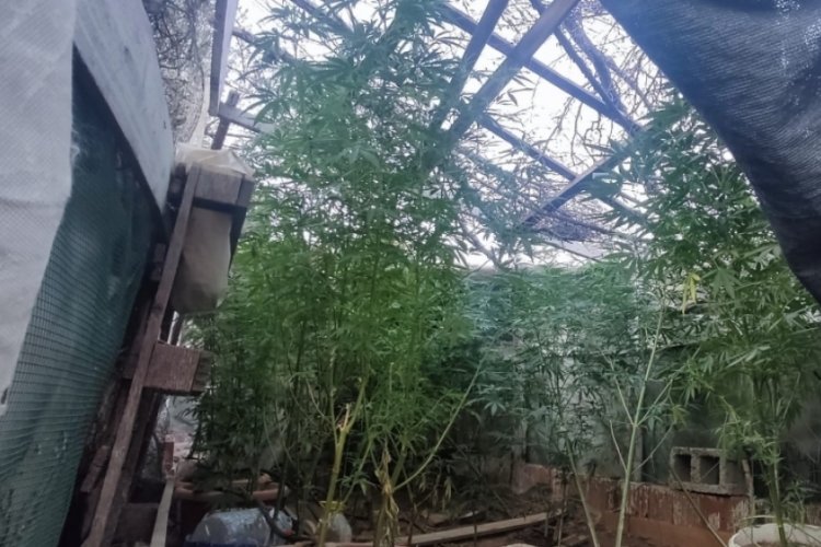İzmir'in 9 il&ccedil;esinde uyuşturucu operasyonları
