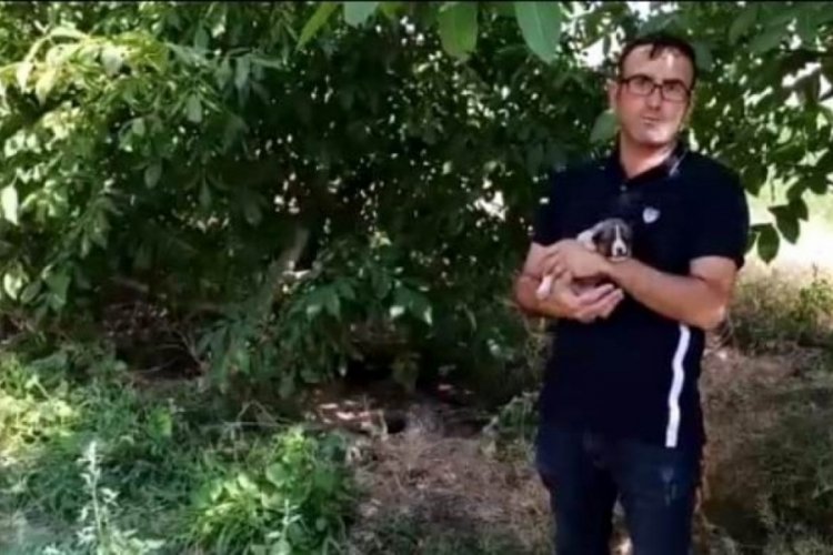 K&ouml;pek yavrularını kurtarmak i&ccedil;in ağladı