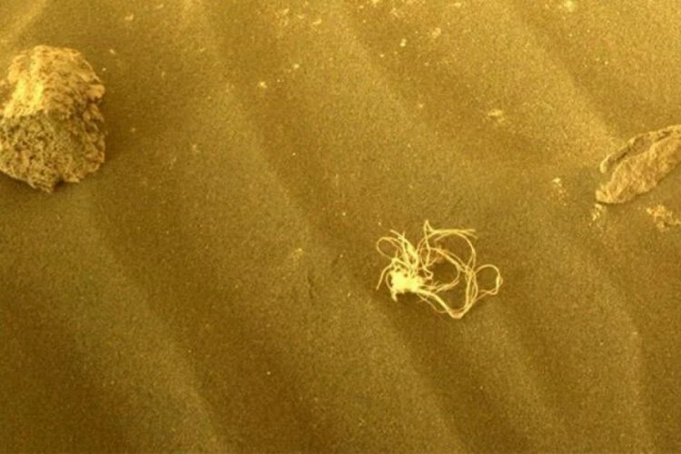 NASA, Mars'taki 'uzaylı yosununun' hakkında konuştu