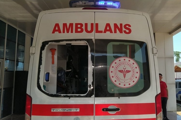 &Ccedil;anakkale'de tırla &ccedil;arpışan ara&ccedil; s&uuml;r&uuml;c&uuml;s&uuml; hayatını kaybetti