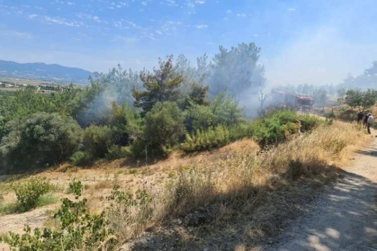 Manisa'da 2 ayrı noktada ormanlık alanda yangın