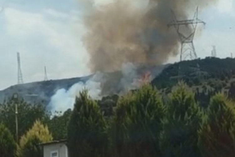 Kocaeli'de ormanlık alanda yangın