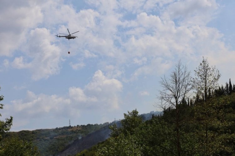 Kocaeli'de ormanlık alanda &ccedil;ıkan yangına m&uuml;dahale devam ediyor