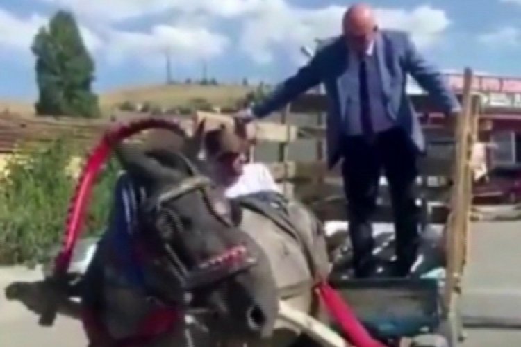 CHP Milletvekili Tanal, 'AK Partiliyim' cevabını duyunca at arabasından indi
