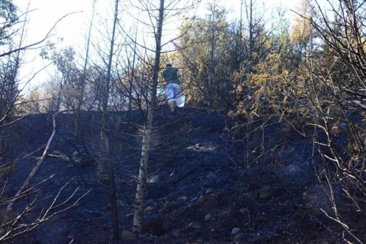 Kocaeli'de ormanlık alanda &ccedil;ıkan yangın s&ouml;nd&uuml;r&uuml;ld&uuml;