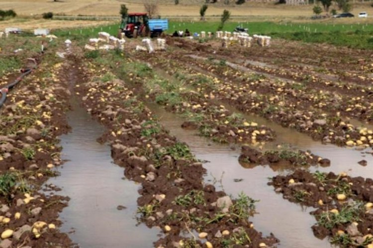 Sağanakta iş yerlerini ve patates tarlalarını su bastı