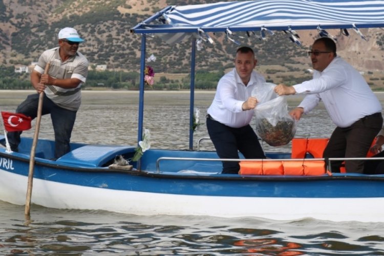 G&ouml;le 300 bin adet yavru balık bırakıldı