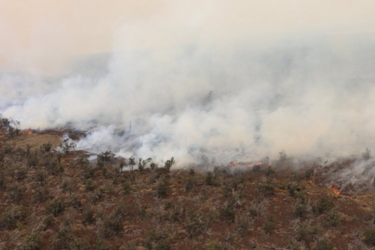 ABD'nin Hawaii Adasında yangın: 9 bin 800 hektar alan k&uuml;l oldu