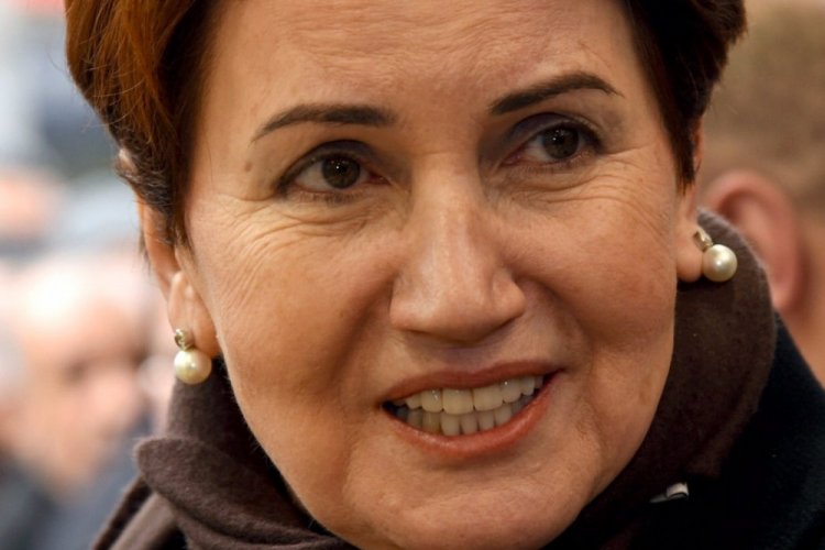 Meral Akşener'i k&ouml;pek ısırdı