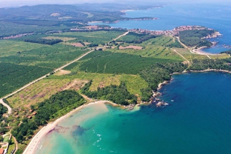 D&ouml;rt plajda denize girmek yasaklandı