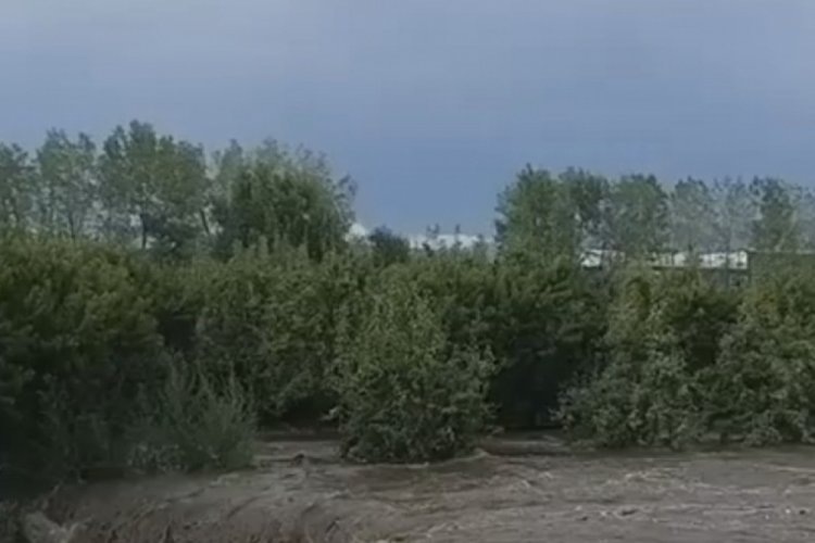 Bursa'da sağanak yağışta şeftali bah&ccedil;elerini su bastı