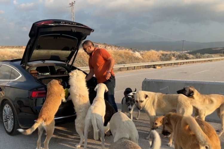 Bursa'da milyonluk arabada ciğer yiyen k&ouml;pekler