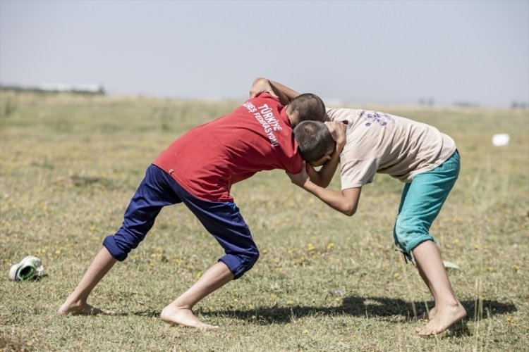 Erzurum Ovası G&uuml;reş Festivali başladı