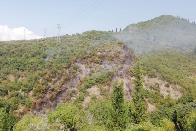 Kocaeli'de ormanlık alanda &ccedil;ıkan yangında &ccedil;alışmalar devam ediyor