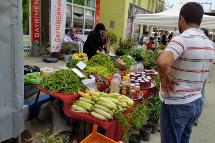 Bursa'nın en acı festivali &Uuml;r&uuml;nl&uuml;'de başladı