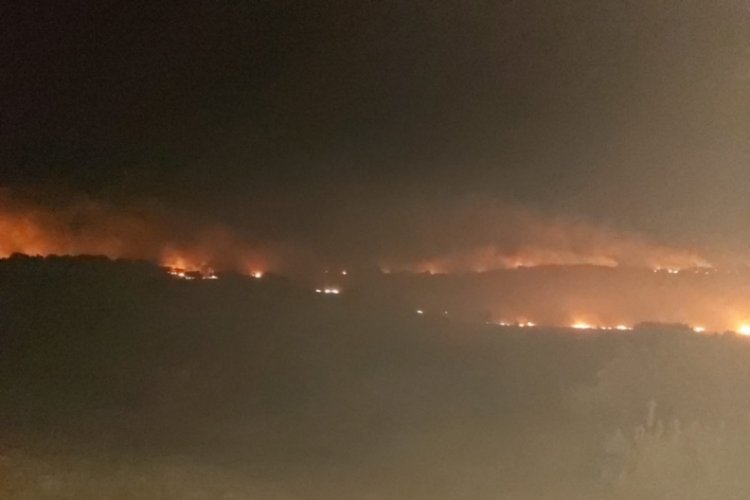 &Uuml;&ccedil; noktada &ccedil;ıkan yangın yaklaşık 5 saat sonra kontrol altına alındı