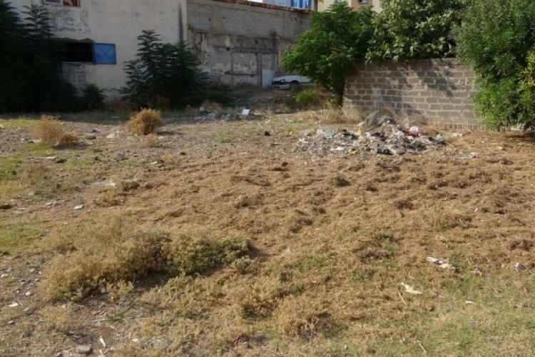 Yeni doğan bebek tarlada terk edilmiş olarak bulundu
