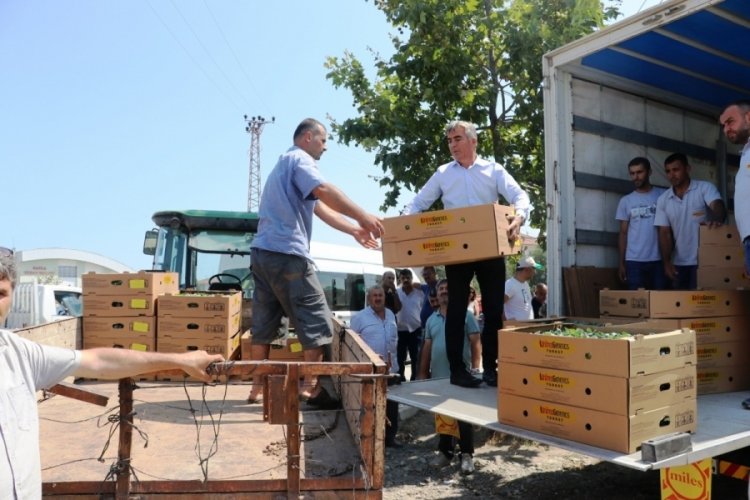 Samsun'da 687 bin kışlık sebze fidesi dağıtıldı
