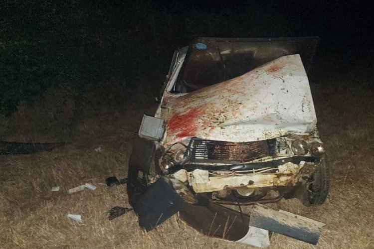 Otomobil koyun s&uuml;r&uuml;s&uuml;ne daldı: 13 koyun telef oldu