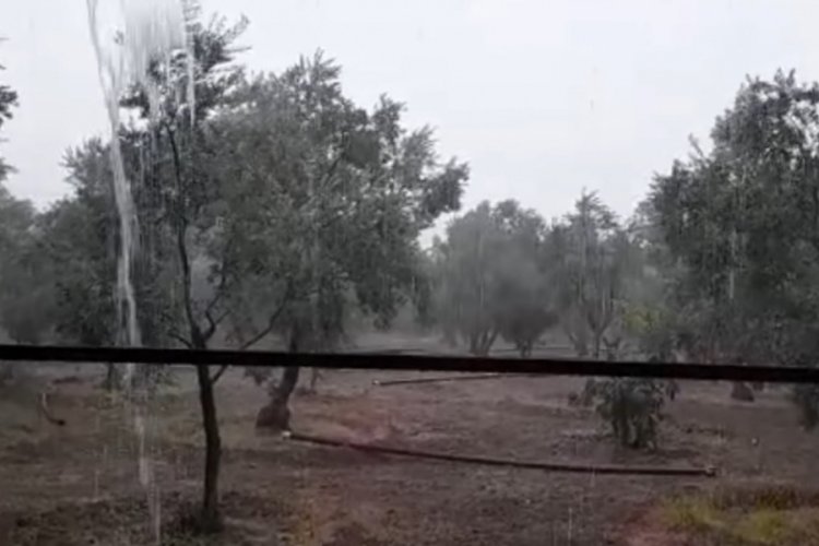 Sağanak yağış Bursalı &uuml;reticiyi &ouml;nce tedirgin etti sonra sevindirdi
