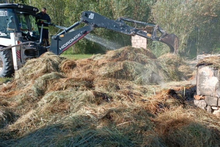 Van'da bin bağ ot yandı