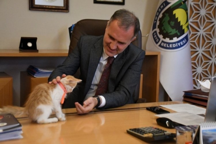 Bursa'da sahipsiz hayvanların dostu İneg&ouml;l Belediyesi