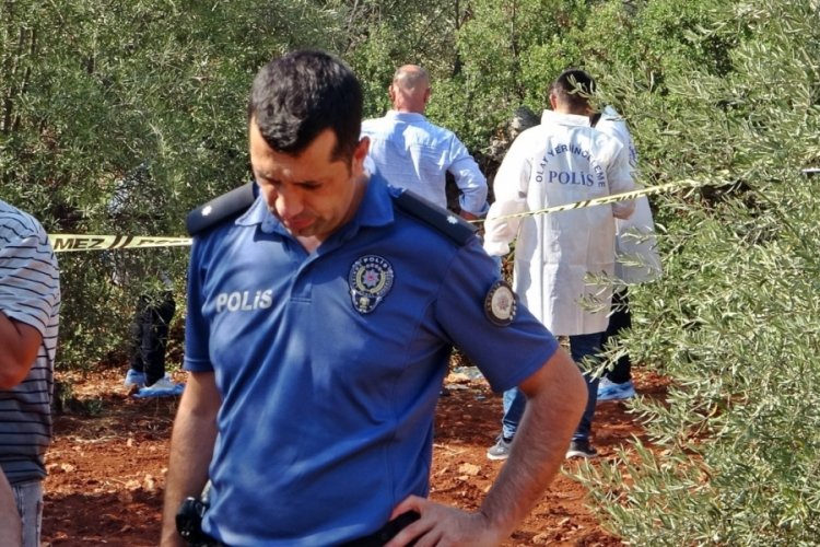 Zeytinlik alanda 23 yaşındaki gencin cesedi bulundu