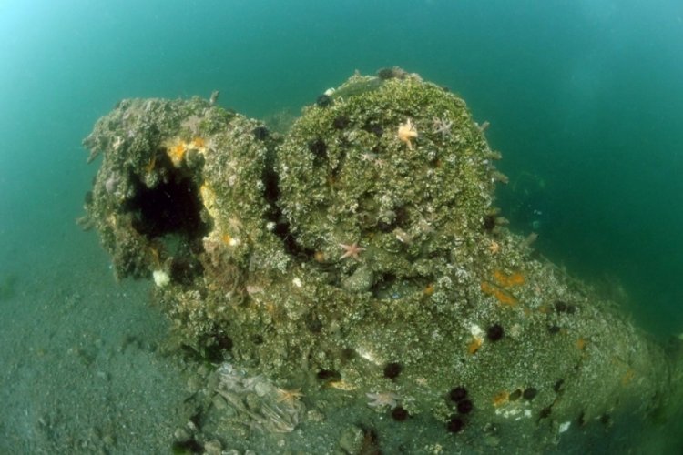 Marmara Depremi'nde G&ouml;lc&uuml;k'te oluşan "batık şehir" g&ouml;r&uuml;nt&uuml;lendi