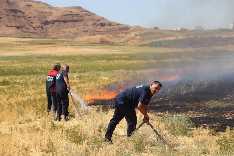 Siirt'te &ccedil;ıkan anız yangınında 5 d&ouml;n&uuml;m alan zarar g&ouml;rd&uuml;