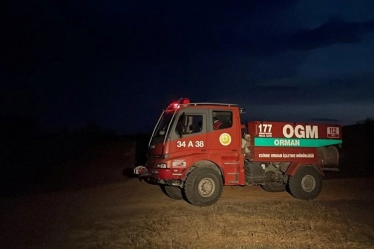 Bulgaristan sınırında orman n&ouml;beti