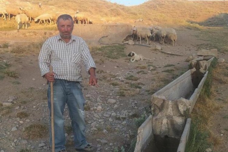 Vicdansızlığın b&ouml;ylesi! Hayvanlar su i&ccedil;mesin diye bakın ne yaptılar?