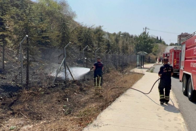 Kocaeli'de ormanlık alanda &ccedil;ıkan yangın kısa s&uuml;rede s&ouml;nd&uuml;r&uuml;ld&uuml;