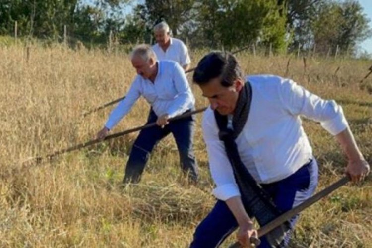 AK Parti'li G&uuml;neş tırpanla ot bi&ccedil;ti