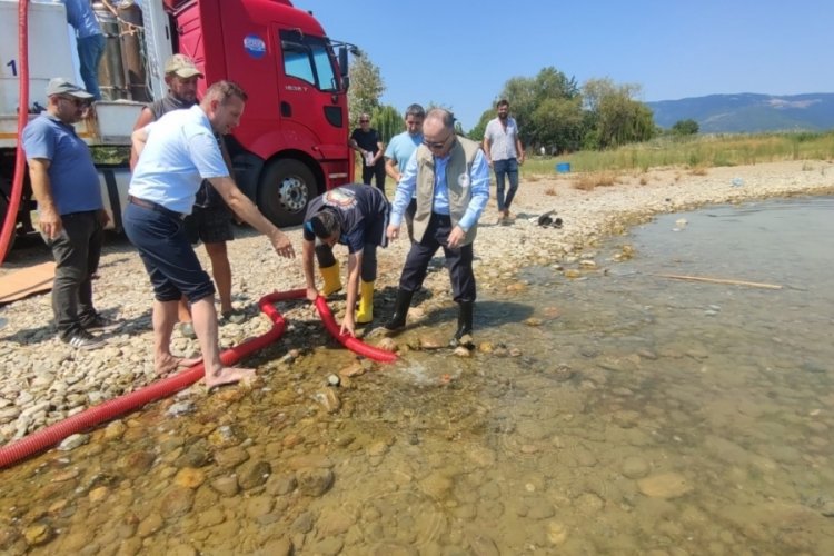 Bursa'daki g&ouml;l ve g&ouml;letlerde balıklandırma &ccedil;alışması