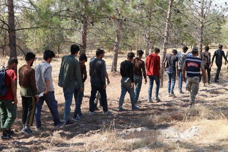 Şanlıurfa'da fıstık bah&ccedil;esinde 28 ka&ccedil;ak g&ouml;&ccedil;men yakalandı