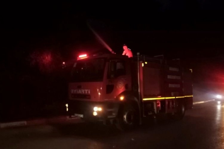 Osmaniye'de &ccedil;amlıkta &ccedil;ıkan yangın kısa s&uuml;rede s&ouml;nd&uuml;r&uuml;ld&uuml;