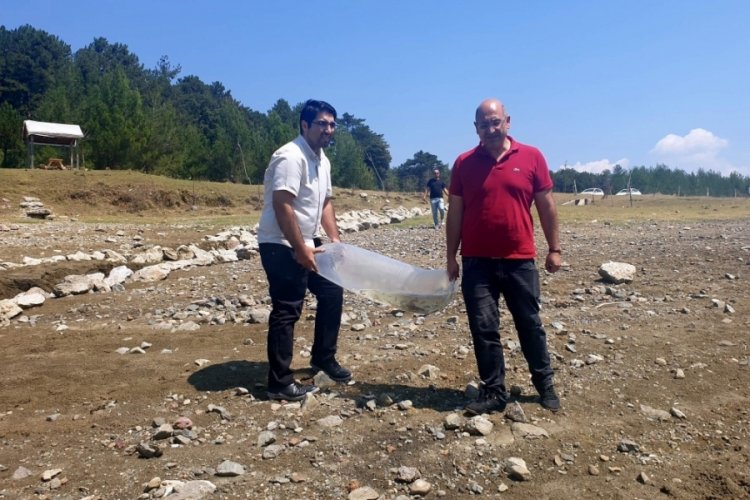 Bursa'da yavru sazanlar suya bırakıldı