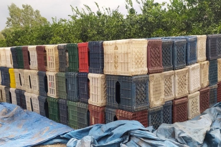 963 adet plastik narenciye kasası &ccedil;aldı