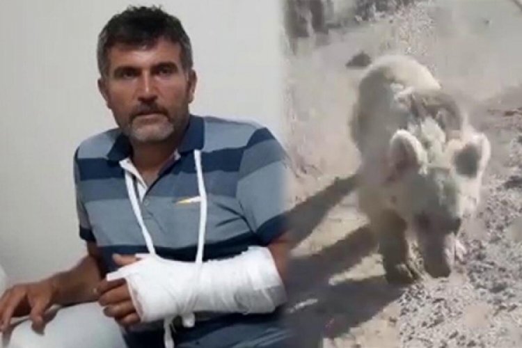 Erzurum'da bir adam &ouml;ld&uuml;ğ&uuml;n&uuml; sandığı ayının saldırısına uğradı
