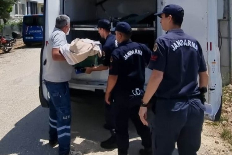 Antalya'da cinnet getiren anne 2 yaşındaki bebeğini &ouml;ld&uuml;rd&uuml;