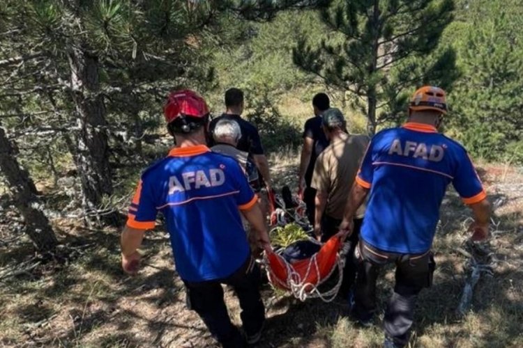 &Ccedil;orum'da ormanlık alanda doğa y&uuml;r&uuml;y&uuml;ş&uuml; yapan yaşlı adam, kalp krizi ge&ccedil;irerek hayatını kaybetti