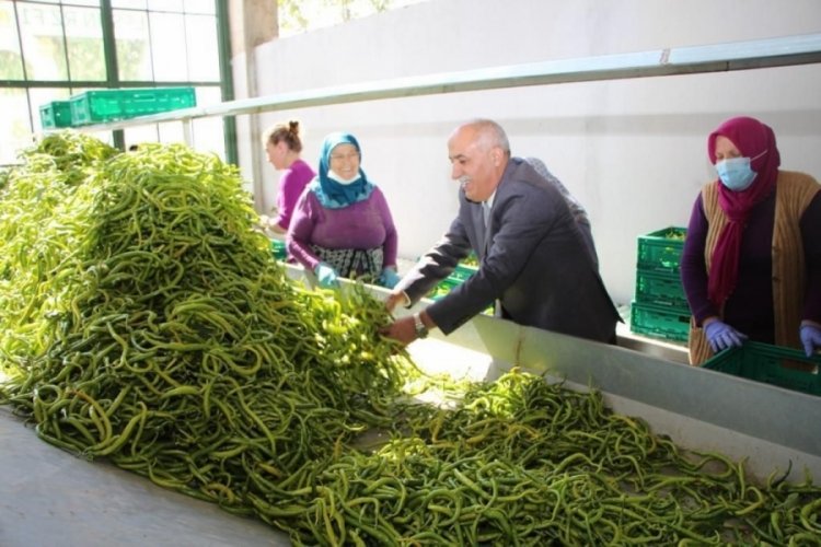 &Uuml;retken belediyecilik bilimin g&uuml;ndeminde: Bursa Yenişehir Belediyesi bilim d&uuml;nyasının dikkatini &ccedil;ekti